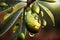 Olives on an olive tree branch. Olive close up. Oil drops on green olive. Generative AI