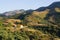 Olives plantation in the mountains of Crete, Greece