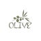 olives vector design template