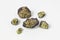 Olivine ores of different shapes and sizes on white background