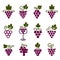 Ð¡ollection of grapes decorative pattern.