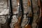 ollection of hunting rifles