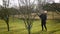 OLOMOUC, CZECH REPUBLIC, FEBRUARY, 20, 2021: Chemical pesticide insecticide modern spray of plum tree Prunus buds leaves