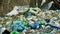 OLOMOUC, CZECH REPUBLIC, JANUARY 2, 2019: Rubbish forest shopping cart black dump waste and landscape garbage bags of