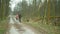 OLOMOUC, CZECH REPUBLIC, MARCH 19, 2020: Face mask coronavirus risk covid-19 walk walking trip through forest wood