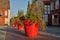Olorful large red flower pots with plants in Hoya, Germany
