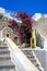 Olorful quiet backyard with beautiful flowers and classic traditional architecture in Santorini