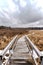 Olsina educational trail not far from Cesky Krumlov and Lipno water reservoir,Czech Republic.Wetland,marshes,bogs and floodplain