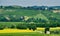 Oltrepo Piacentino Italy, rural landscape at summer