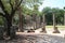 Olympia, Greece: Ruins and Columns