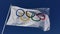 Olympic Flag Fluttering in Bright Blue Sky