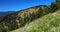 Olympic National Park Landscape Panorama of Summer Flowers in Alpine Meadows, Washington State