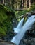 Olympic National Park, Washington - August 7, 2018 : A couple standing on the bridge at Sol Duc Falls in Olympic National Park.