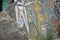 Om Mani Padme Hum Buddhist mantra written Tibetan script on rock in Rewalsar lake Tso Pema, Himachal Pradesh, India