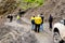 Omalo, Georgia - June 11, 2016: Workers with tractor remove the landslide on the mountain road, Tusheti