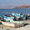 in oman boat in the coastline and seagull near ocean