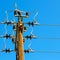 in oman the electric cable wood pylon energy and current line