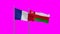 Oman and France flag