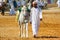 Oman. The leader of an Omani village arrives at a local traditional festival with his beautiful white horse