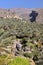OMAN: Misfat al Abreyeen village in Western Hajar