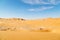 in oman old desert rub al khali the empty quarter and outdoor