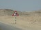 Oman, Salalah, danger road sign crossing camels