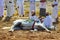 Oman. Two Omani people talk with each other as a white horse takes rest during a local traditional festival