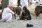 Omani couple at the Nizwa goat market with goats