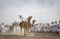 Omani man riding a camel on a dusty countryside road