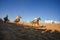 Omani traditional horse race