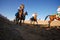 Omani traditional horse race