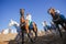 Omani traditional horse show