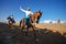 Omani traditional horse show