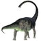 Omeisaurus Dinosaur Tail