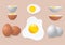 Omelet, fresh and boiled eggs