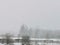 ominous dark snowy forest and gloomy abandoned buildings.  winter.