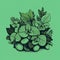 Ominous Plant Illustration On Green Background