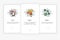 Onboarding screens design in how to use app concept. Scan Select and Share icon.