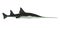 Onchopristis Sawfish Side Profile