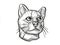 Oncilla or northern tiger cat Endangered Wildlife Cartoon Retro