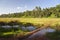 Ondiri Swamp in Kikuyu, Kenya