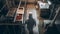 One adult male engineer walking inside steel factory with equipment generated by AI