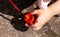 One anonymous little child painter mixing red paint in a small container using a paint brush, young kid artist hands closeup