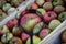 One apple magnified with a magnifying glass among the other apples in the crate. A beautiful apple in a crate full of apples