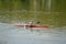 One athlete are sailing canoe on river, controlling oars. Active outdoor sports training. Side view. Copy space.