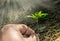 One beautiful moment. A young man is planting a new tree. Nature is waking up and spring is coming.