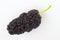 One berry mulberry with a tail on white background