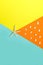One big starfish on colorful background and many small sea shell on orange background. Top view.