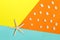 One big starfish on colorful background and many small sea shell on orange background. Top view. Summer time. Sea style.