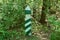 One big striped signal pole among the green vegetation